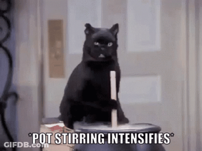 Black Cat Happily Stirring The Pot GIF
