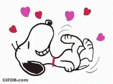 Black Cat Happy Tuesday GIF