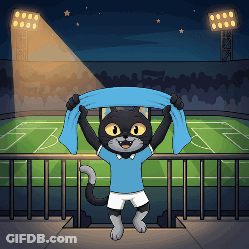 Black Cat Holding Blue Scarf In Soccer Field GIF