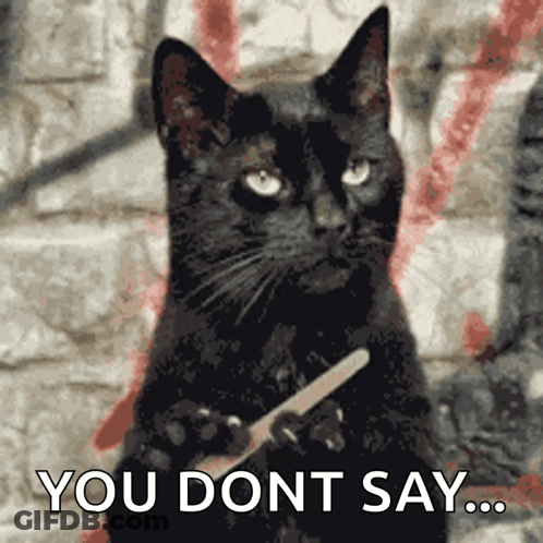 Black Cat Holding Knife Saying You Dont Say GIF
