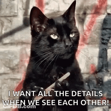Black Cat Holding Nail Clipper Says I Want All Details GIF