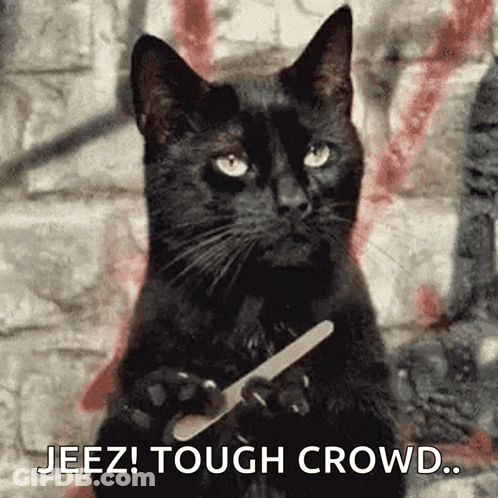 Black Cat Holding Nail File GIF