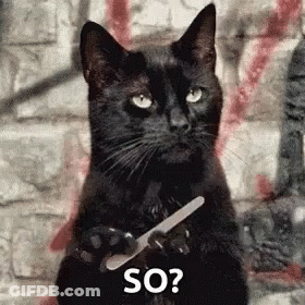 Black Cat Holding Nail File And Asking So GIF
