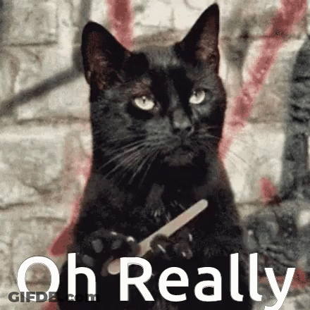 Black Cat Holding Nail File Oh Really GIF