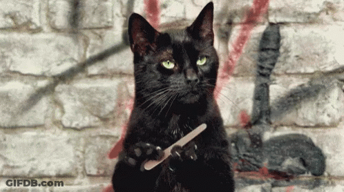 Black Cat Holding Nail File GIF