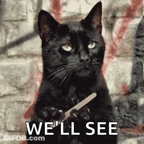 Black Cat Holding Nail File Saying We'll See GIF