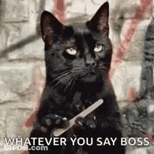 Black Cat Holding Nail File Saying Whatever You Say Boss GIF