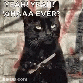 Black Cat Holding Nail File Saying Yeah Yeah Whaaa Ever GIF