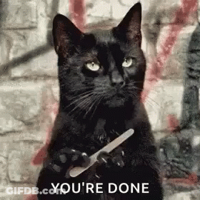 Black Cat Holding Nail File Says You're Done GIF