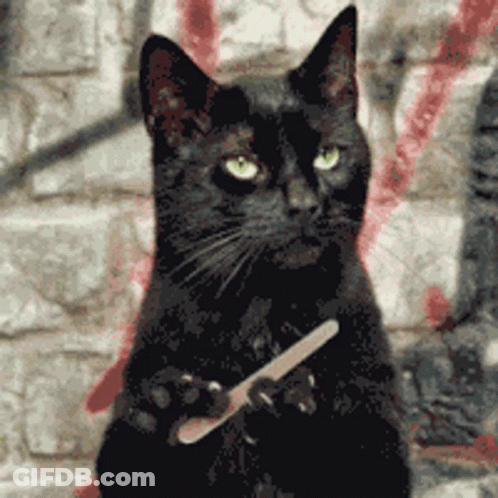 Black Cat Holding Nail File GIF