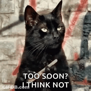Black Cat Holding Pencil Says Too Soon I Think Not GIF