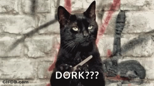 Black Cat Holding Scissors In Front Of Brick Wall GIF
