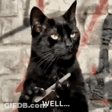 Black Cat Holding Scissors Saying Well GIF
