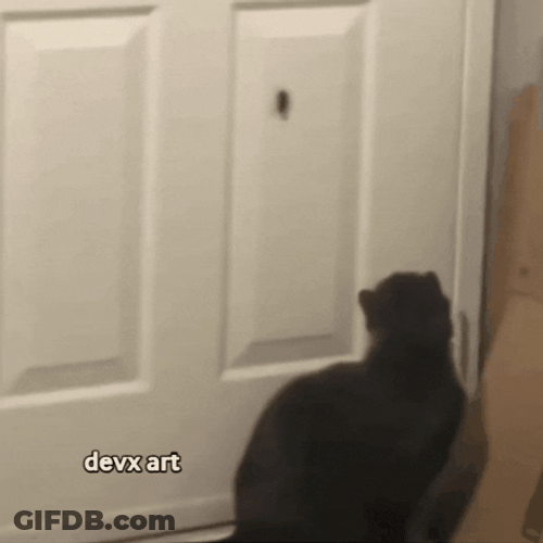 Black Cat Hunting Roaches GIF