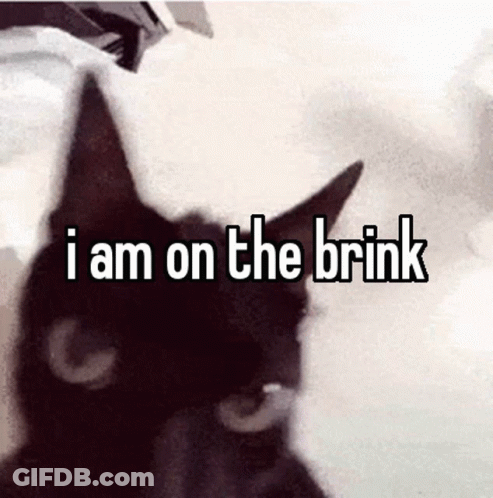 Black Cat I Am On The Brink GIF