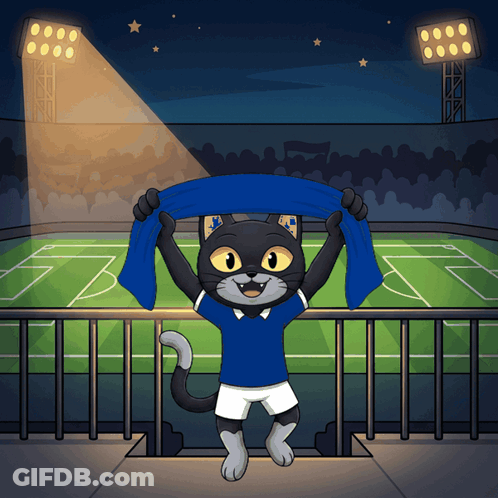 Black Cat In Blue Shirt Holding Blue Scarf Soccer Field GIF