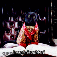 Black Cat In Devil Costume Manic Laughter GIF