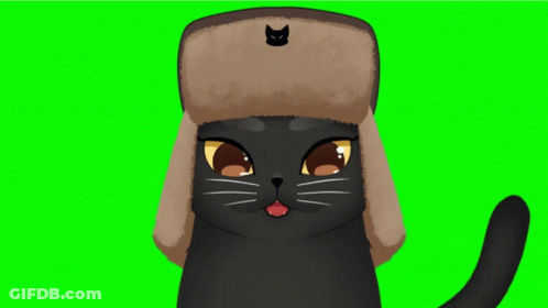 Black Cat In Furry Hat With Cat GIF