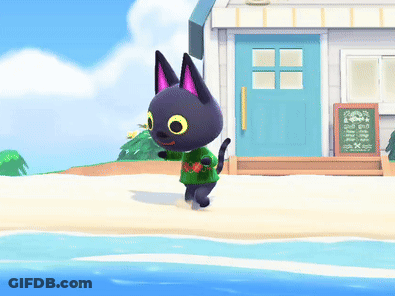Black Cat In Green Sweater On Beach GIF