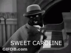 Black Cat In Hat And Cape Playing Piano Sweet Caroline GIF