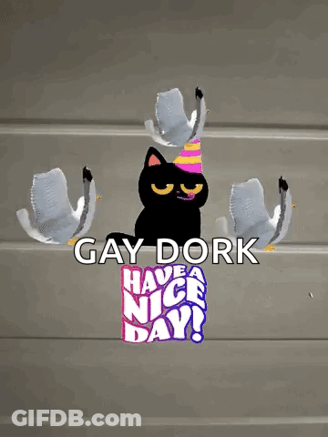Black Cat In Party Hat Surrounded By Seagulls Gay Dork Have A Nice Day GIF