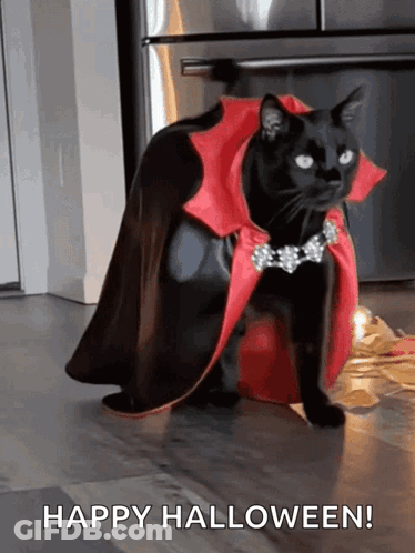 Black Cat In Red Cape Says Happy Halloween GIF