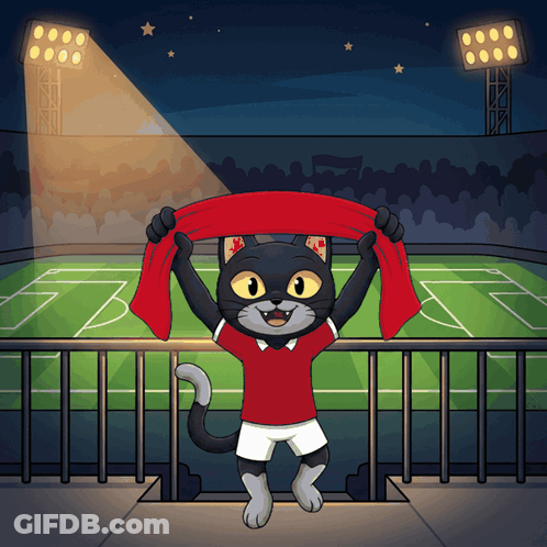 Black Cat In Red Shirt Holding Red Scarf GIF