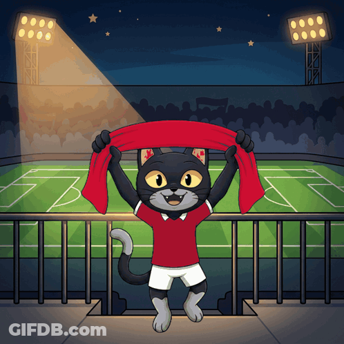 Black Cat In Red Shirt Holding Red Scarf GIF