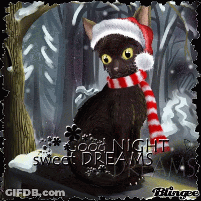 Black Cat In Santa Hat And Scarf Saying Good Night Sweet Dreams GIF