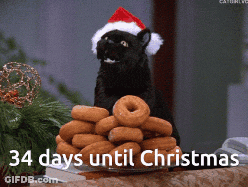 Black Cat In Santa Hat Holding Donuts 34 Days Until Christmas GIF