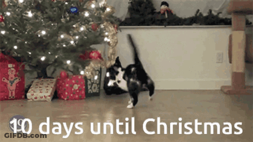 Black Cat In Santa Hat Holding Donuts 34 Days Until Christmas GIF