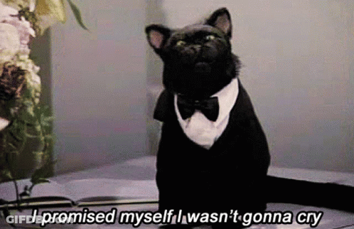 Black Cat In Tuxedo Saying I Promised Myself I Wasn't Gonna Cry GIF