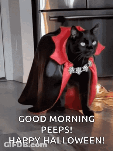 Black Cat In Vampire Costume Says Good Morning Peeps Happy Halloween GIF