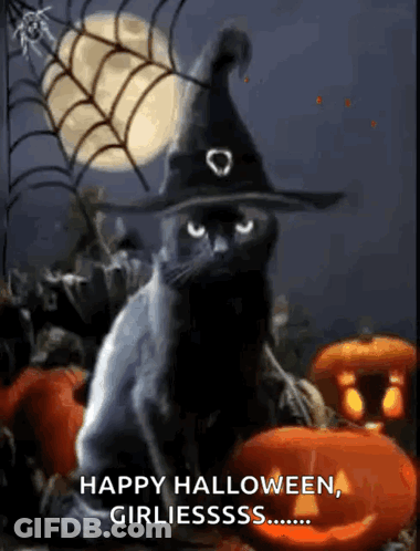 Black Cat In Witch Hat Sitting With Pumpkins GIF