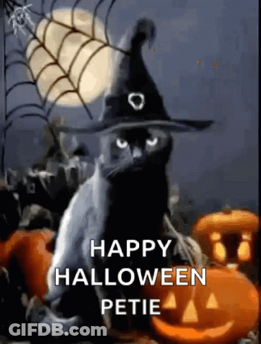 Black Cat In Witch Hat Surrounded By Pumpkins And Spider Web GIF