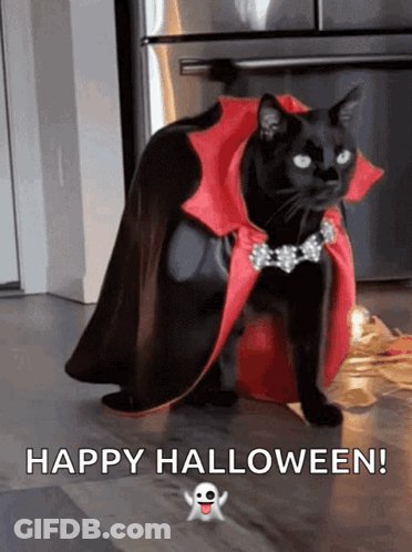 Black Cat In Witch Hat Surrounded By Pumpkins Saying Happy Halloween Back At You GIF