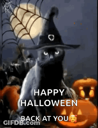 Black Cat In Witch Hat Surrounded By Pumpkins Saying Happy Halloween Back At You GIF
