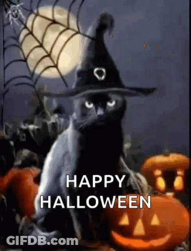 Black Cat In Witch Hat With Pumpkins And Spider Web GIF
