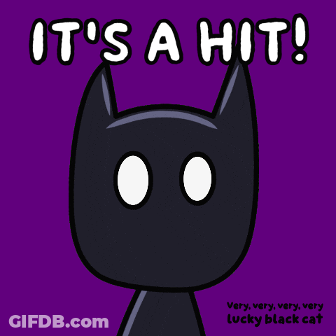 Black Cat It's A Hit GIF