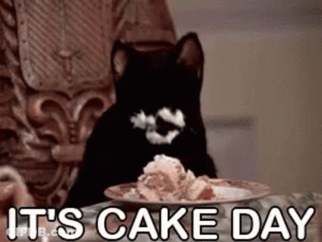 Black Cat It's Birthday Cake Day GIF