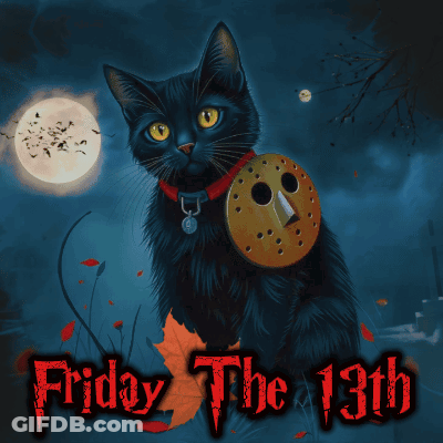 Black Cat Jason Voorhees Mask Beware I'm Coming Friday The 13Th GIF