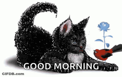 Black Cat Laying Beside Bird And Flower Good Morning GIF