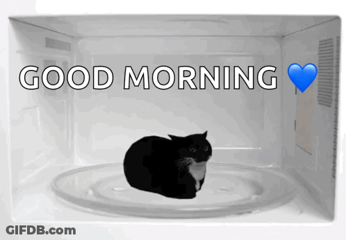 Black Cat Laying In Microwave Good Morning GIF