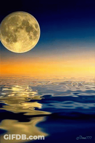 Black Cat Laying On Back With Full Moon GIF