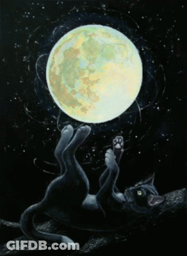 Black Cat Laying On Back With Full Moon GIF