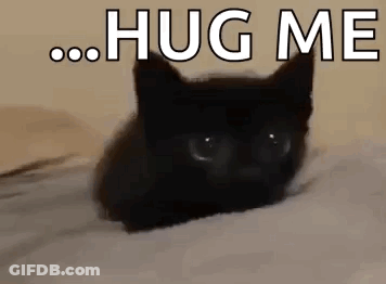 Black Cat Laying On Bed Saying Hug Me GIF