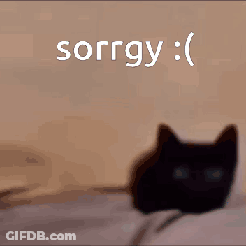 Black Cat Laying On Bed Saying Sorry GIF