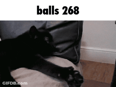 Black Cat Laying On Couch Balls 268 GIF