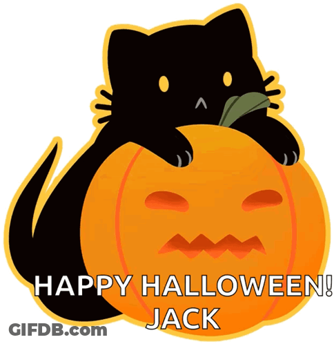 Black Cat Laying On Pumpkin Happy Halloween Jack GIF