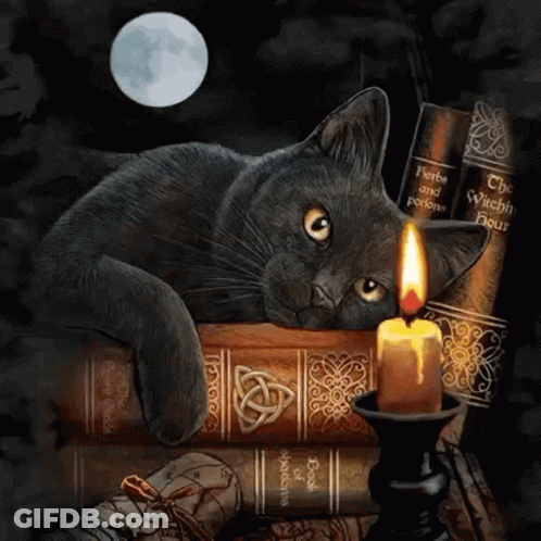 Black Cat Laying On Stack Of Books Next To Lit Candle GIF